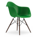 Eames Plastic Armchair RE DAW, Grün, Ohne Polsterung, Ohne Polsterung, Standardhöhe - 43 cm, Ahorn dunkel
