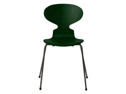 Die Ameise 3101 New Colours Gefärbte Esche|Evergreen|Warm graphite