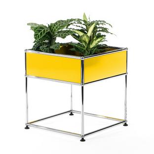 USM Haller Pflanzenbeistelltisch Typ 2 Goldgelb RAL 1004|50 cm